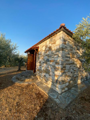 Haus im Olivenhain direkt am Meer